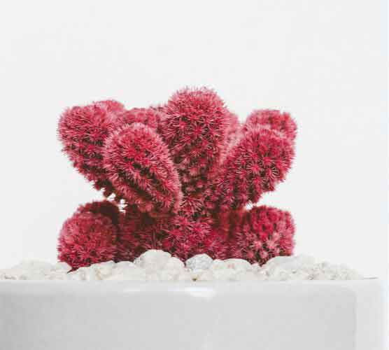 云呼手机号测压网页版