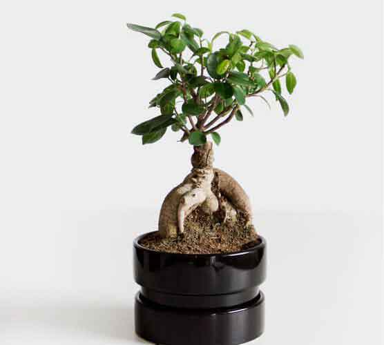 云呼手机号测压网页版